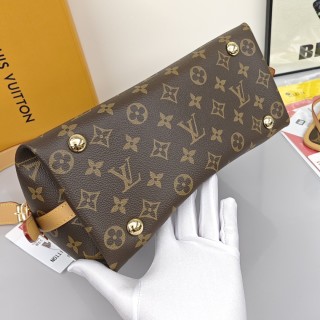 Louis Vuitton Carryall Monogram Canvas Shoulder Bag with Detachable Pouch view 8