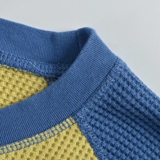 Stussy Waffle Enzyme Wash Raglan Long Sleeve Tee Yellow Blue view 6