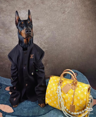 Louis Vuitton Speedy Monogram Yellow Canvas Handbag view 3