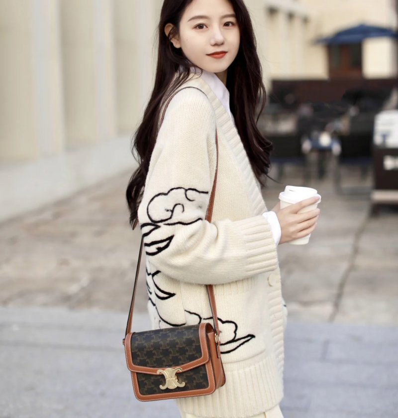 Celine Triomphe Tofu Shoulder Bag Brown Monogram view