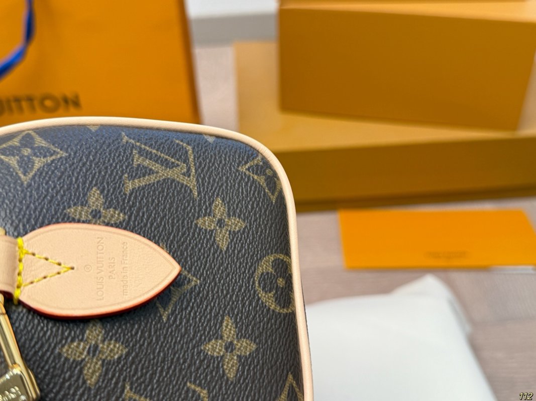 Louis Vuitton Speedy 20 Monogram Canvas Handbag with Strap view