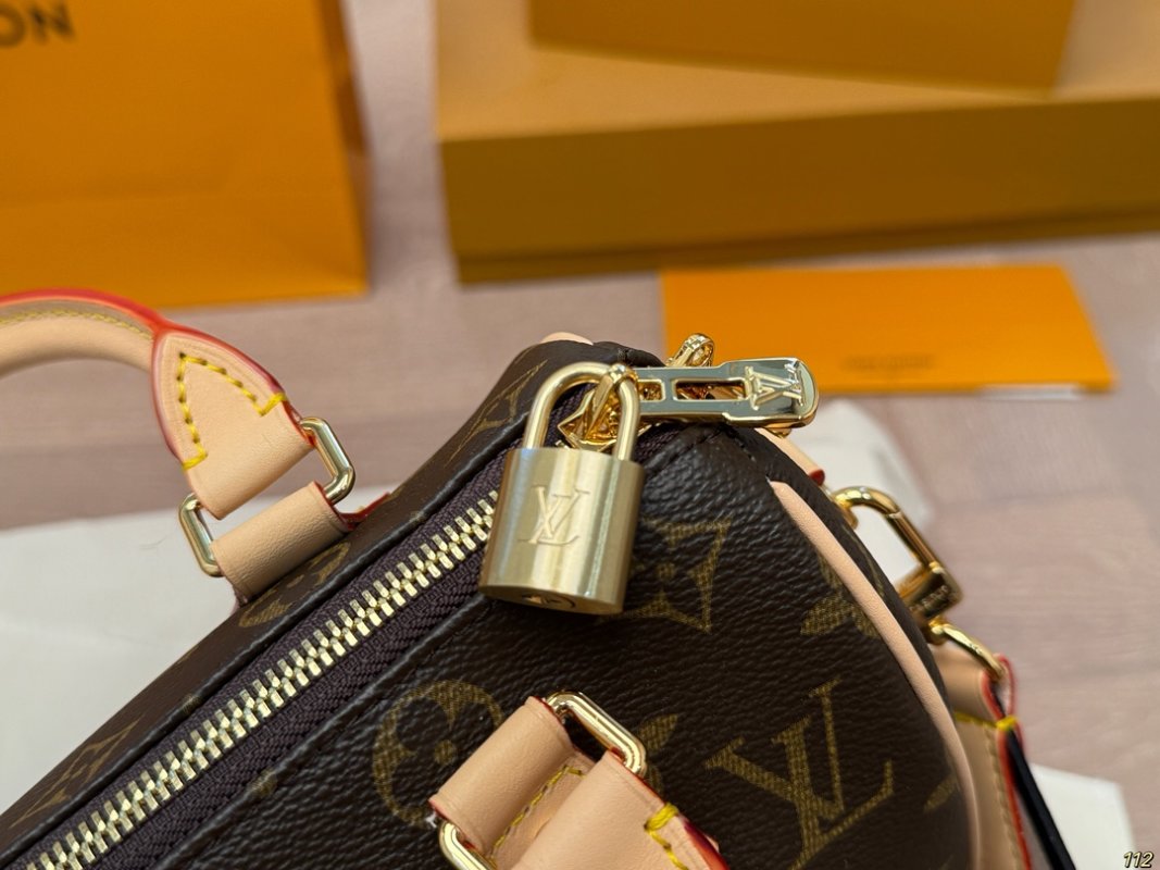 Louis Vuitton Speedy 20 Monogram Canvas Handbag with Strap view
