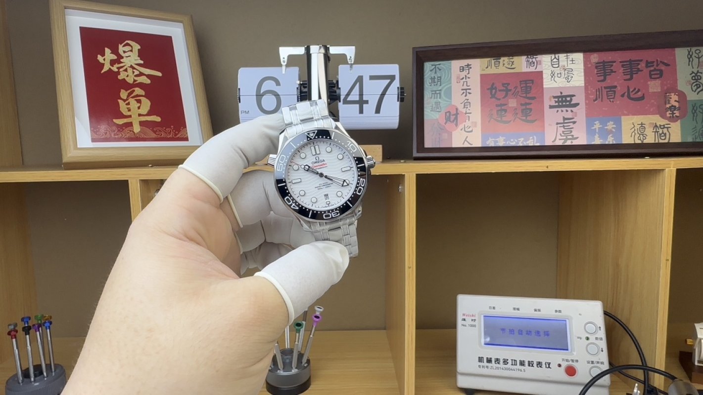 Omega Seamaster 300 Panda White Dial Watch