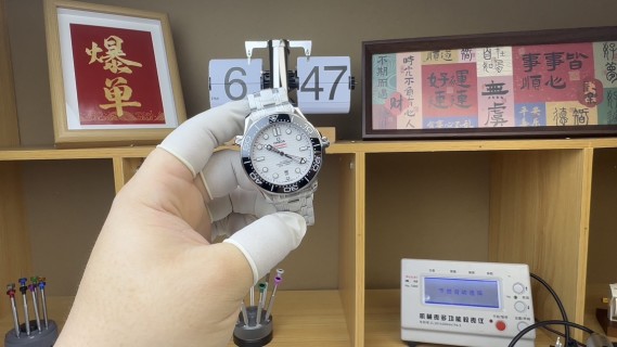 Omega Seamaster 300 Panda White Dial Watch