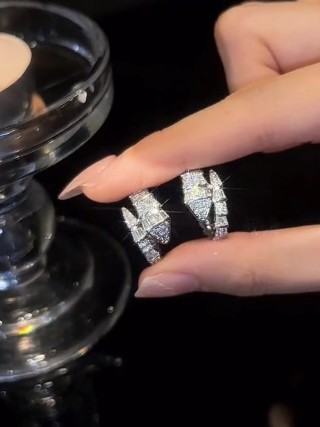 Snake-Shaped Cubic Zirconia Huggie Earrings - Silver view 5