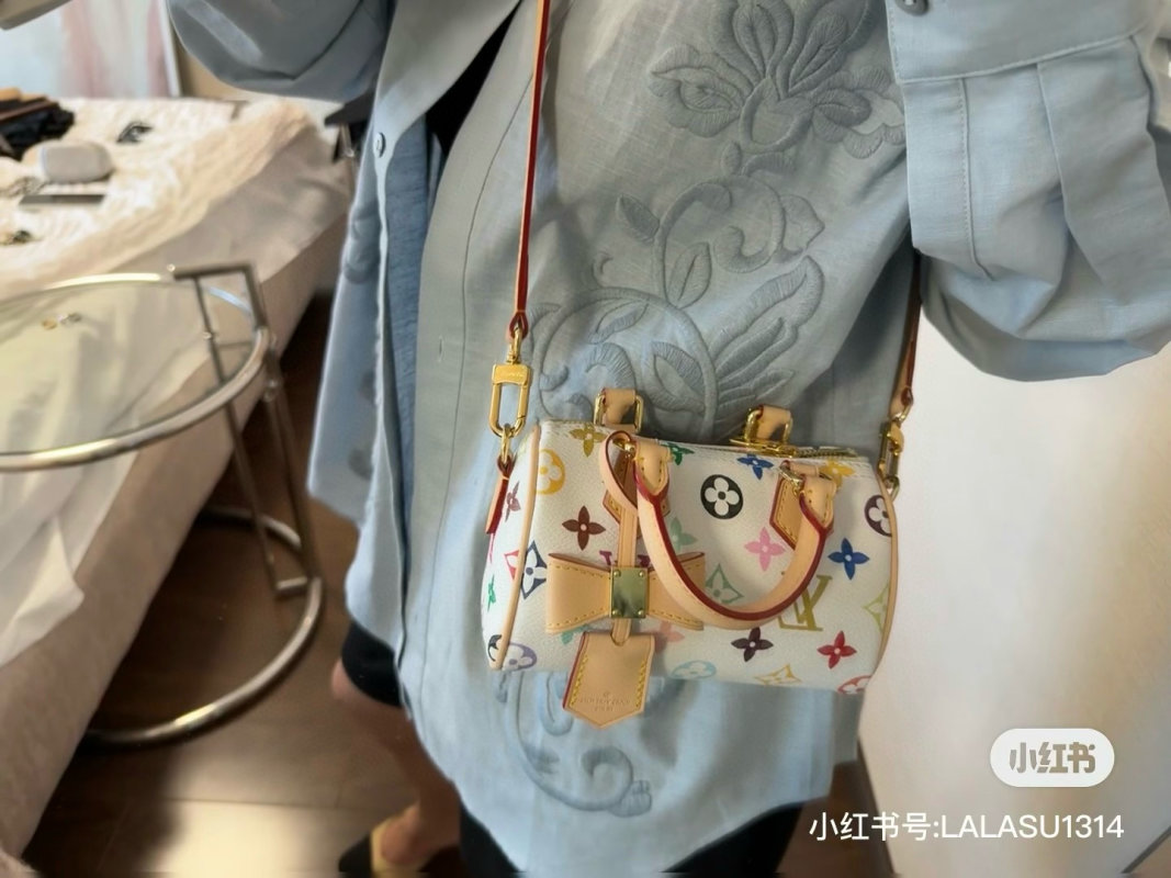 Louis Vuitton Speedy Multicolor Monogram Canvas Bag view