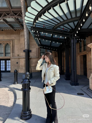 Louis Vuitton Speedy Multicolor Monogram Canvas Bag view 5