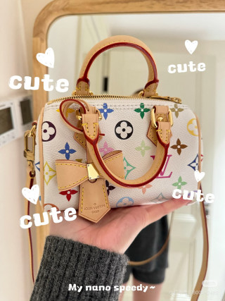 Louis Vuitton Speedy Multicolor Monogram Canvas Bag view 7
