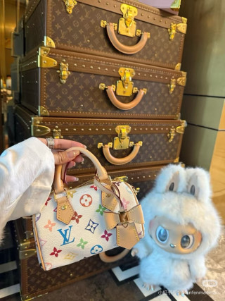 Louis Vuitton Speedy Multicolor Monogram Canvas Bag view 8