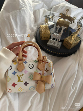 Louis Vuitton Speedy Multicolor Monogram Canvas Bag view 9