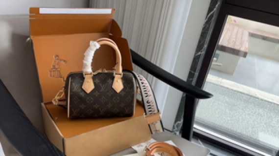 Louis Vuitton Monogram Speedy Handbag Brown