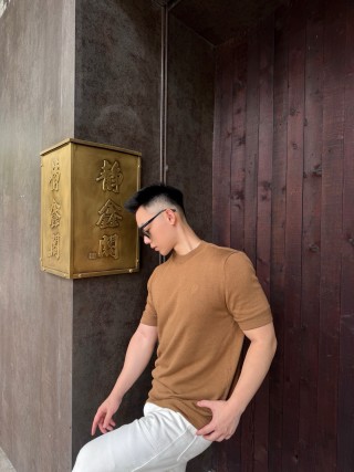 Camel Ribbed Knit Short Sleeve T-Shirt view 5