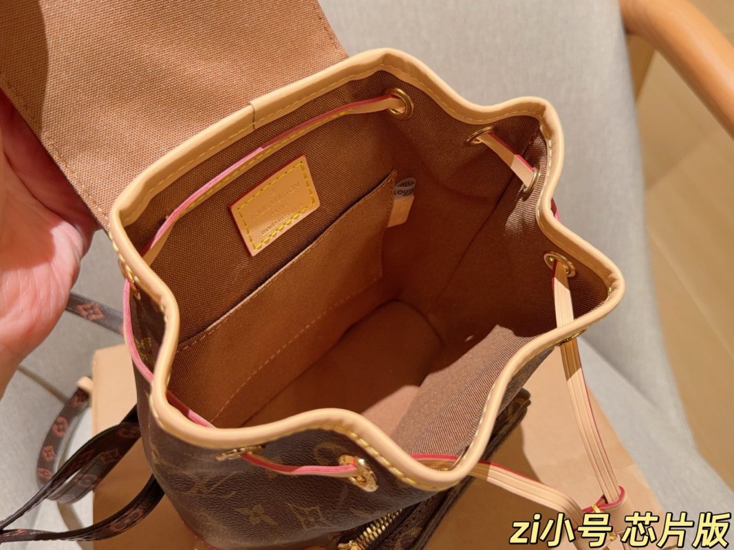 Louis Vuitton Montsouris BB Monogram Canvas Backpack view