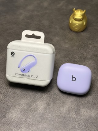 Beats Powerbeats Pro 2 Wireless Earphones - Lavender