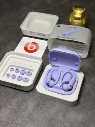 Beats Powerbeats Pro 2 Wireless Earphones - Lavender view 13