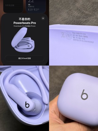 Beats Powerbeats Pro 2 Wireless Earphones - Lavender view 14