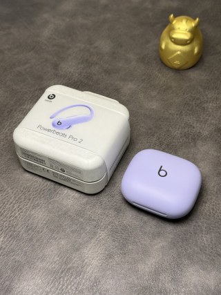 Beats Powerbeats Pro 2 Wireless Earphones - Lavender view 2