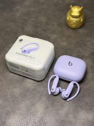 Beats Powerbeats Pro 2 Wireless Earphones - Lavender view 3