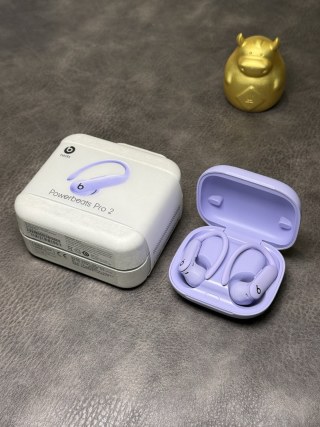 Beats Powerbeats Pro 2 Wireless Earphones - Lavender view 4