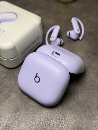 Beats Powerbeats Pro 2 Wireless Earphones - Lavender view 6