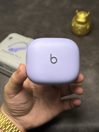 Beats Powerbeats Pro 2 Wireless Earphones - Lavender view 7