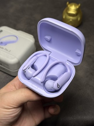 Beats Powerbeats Pro 2 Wireless Earphones - Lavender view 9