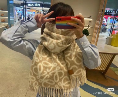 Loewe Beige Jacquard Wool Mohair Fringe Scarf 23FW view 9