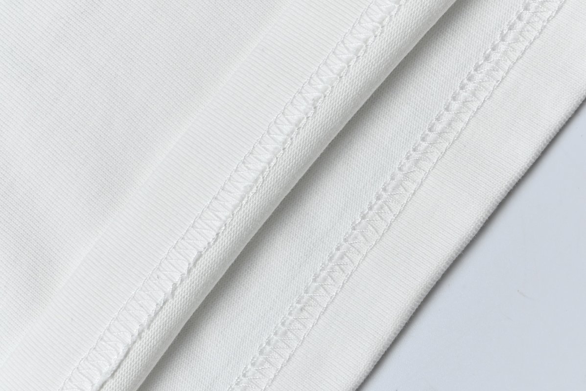 Arc'teryx Bird Logo White T-Shirt view