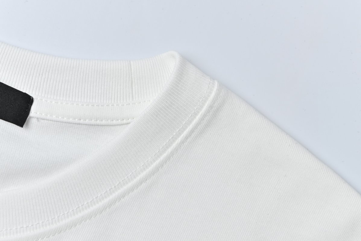 Arc'teryx Bird Logo White T-Shirt view