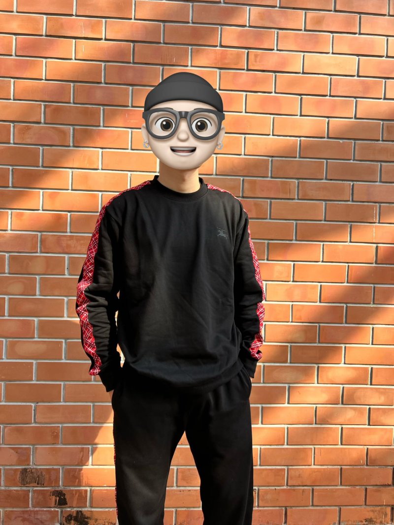 Black Red Checkered Sleeve Hoodie Sweatshirt view