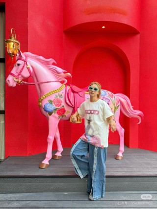 Oversized Graphic Print T-Shirt - White with Pink Horse Design view 2