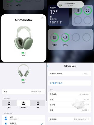 Apple AirPods Pro Max Green 1:1 UA Replica view 18