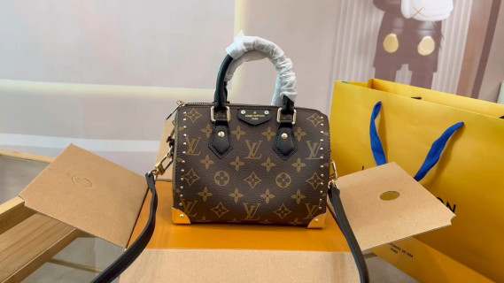 Louis Vuitton Monogram Speedy Studded Handbag Brown