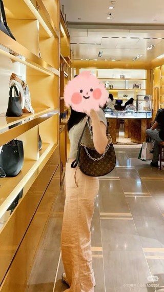 Louis Vuitton Monogram Canvas Hobo Shoulder Bag Brown