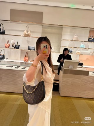 Louis Vuitton Monogram Canvas Hobo Shoulder Bag Brown view 3