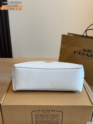 Coach Laurel Hobo Bag White view 7