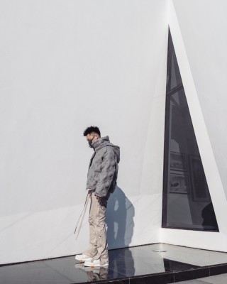 Louis Vuitton Monogram Down Jacket - Light Grey view 7
