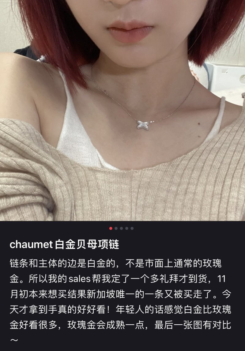 Louis Vuitton LV Monogram White Gold Rose Gold Chain Necklace