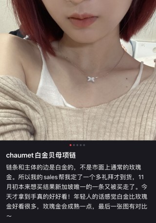 Louis Vuitton LV Monogram White Gold Rose Gold Chain Necklace