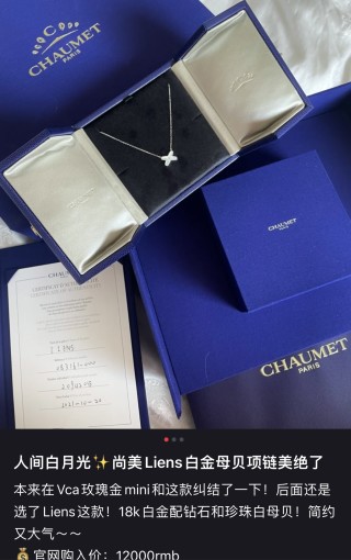 Louis Vuitton LV Monogram White Gold Rose Gold Chain Necklace view 7