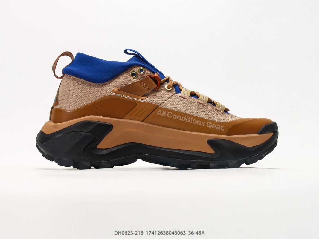 Nike ACG Mountain Fly GTX SE Brown Royal Blue Trail Sneaker view
