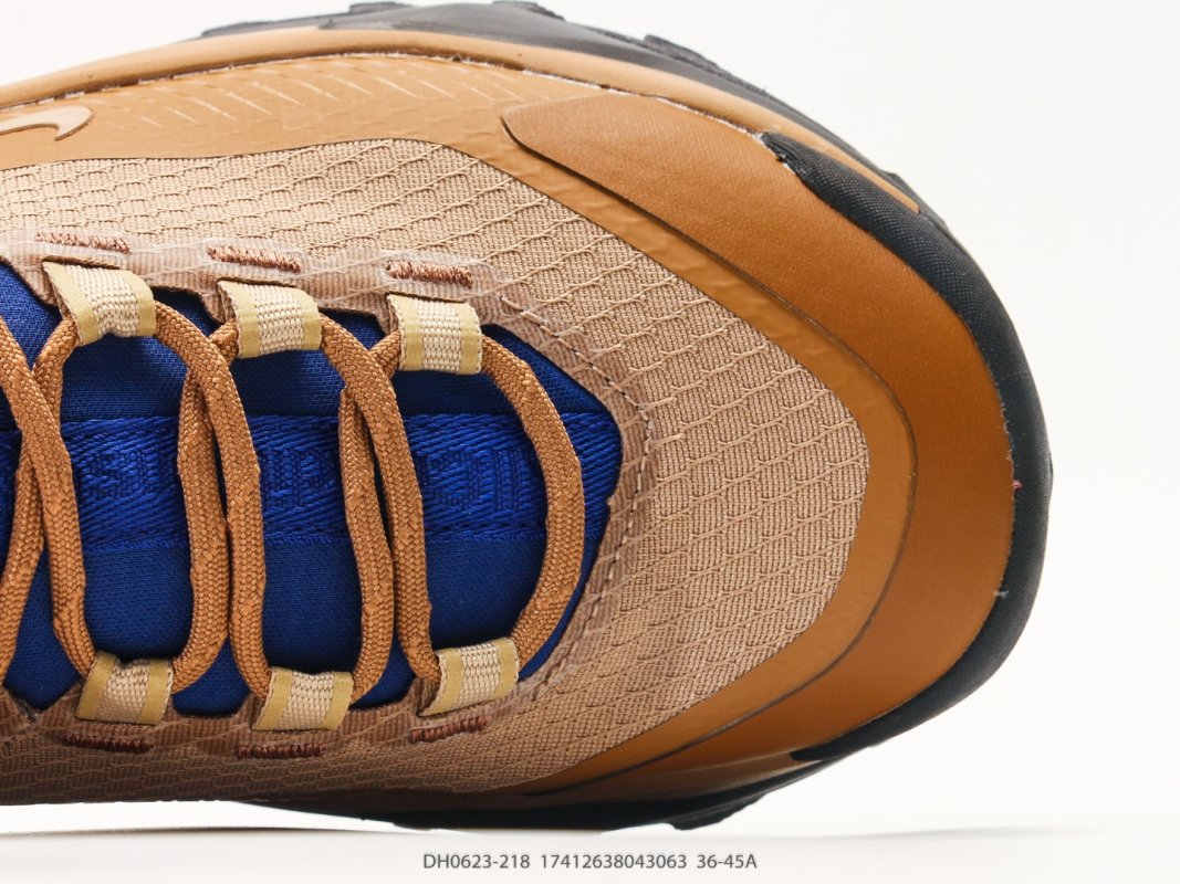 Nike ACG Mountain Fly GTX SE Brown Royal Blue Trail Sneaker view