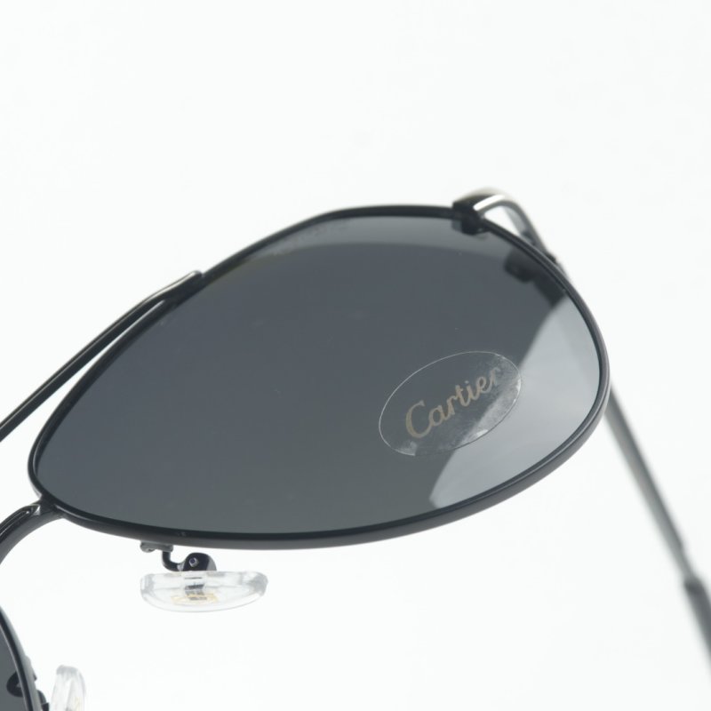 Cartier Santos de Cartier Pilot Sunglasses Silver Blue Polarized view