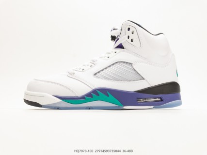 Air Jordan 5 Retro Taupe Grey Ice Blue view 2