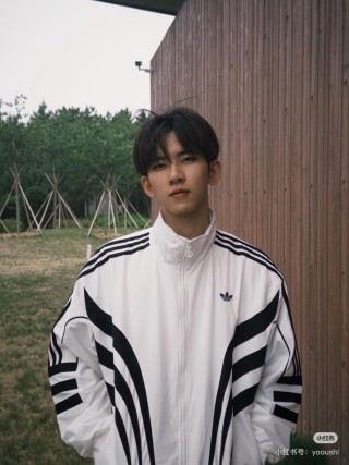 Adidas White Black Stripe Track Jacket view 15