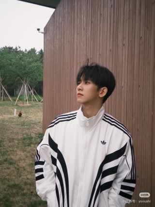 Adidas White Black Stripe Track Jacket view 16