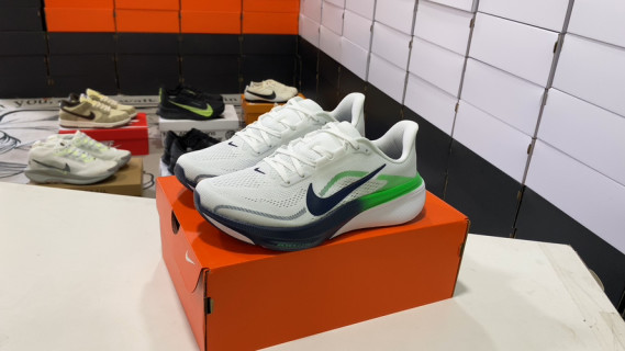 Nike Air Zoom Pegasus 42 White Navy Green