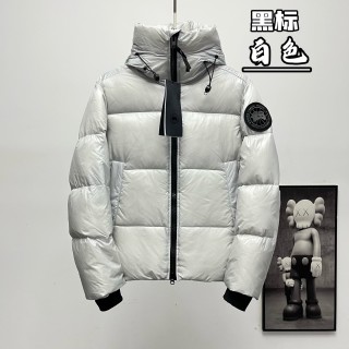 Canada Goose