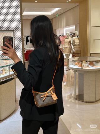 Louis Vuitton Carryall Mini Shoulder Bag Monogram Canvas