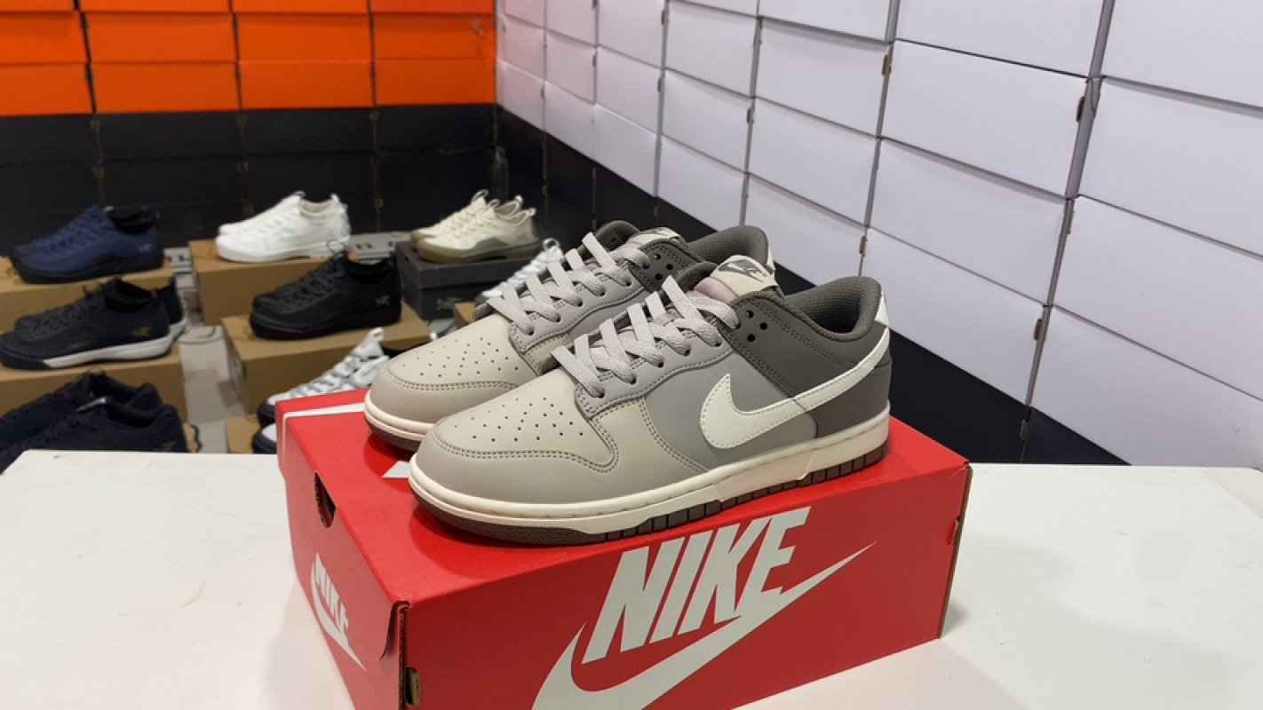 Nike Dunk Low Grey Sail Retro Basketball Sneaker
